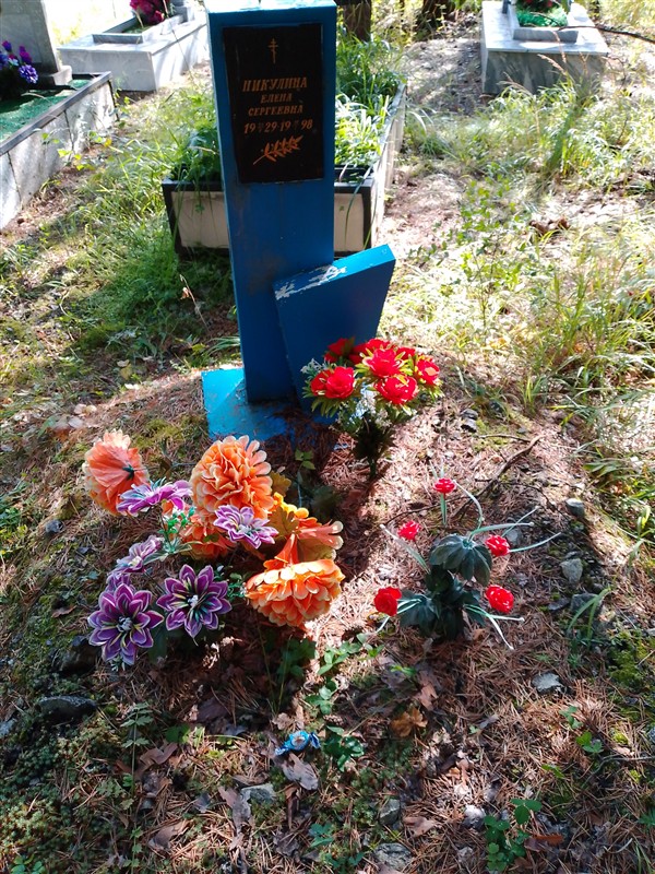 Никулина Елена Сергеевна