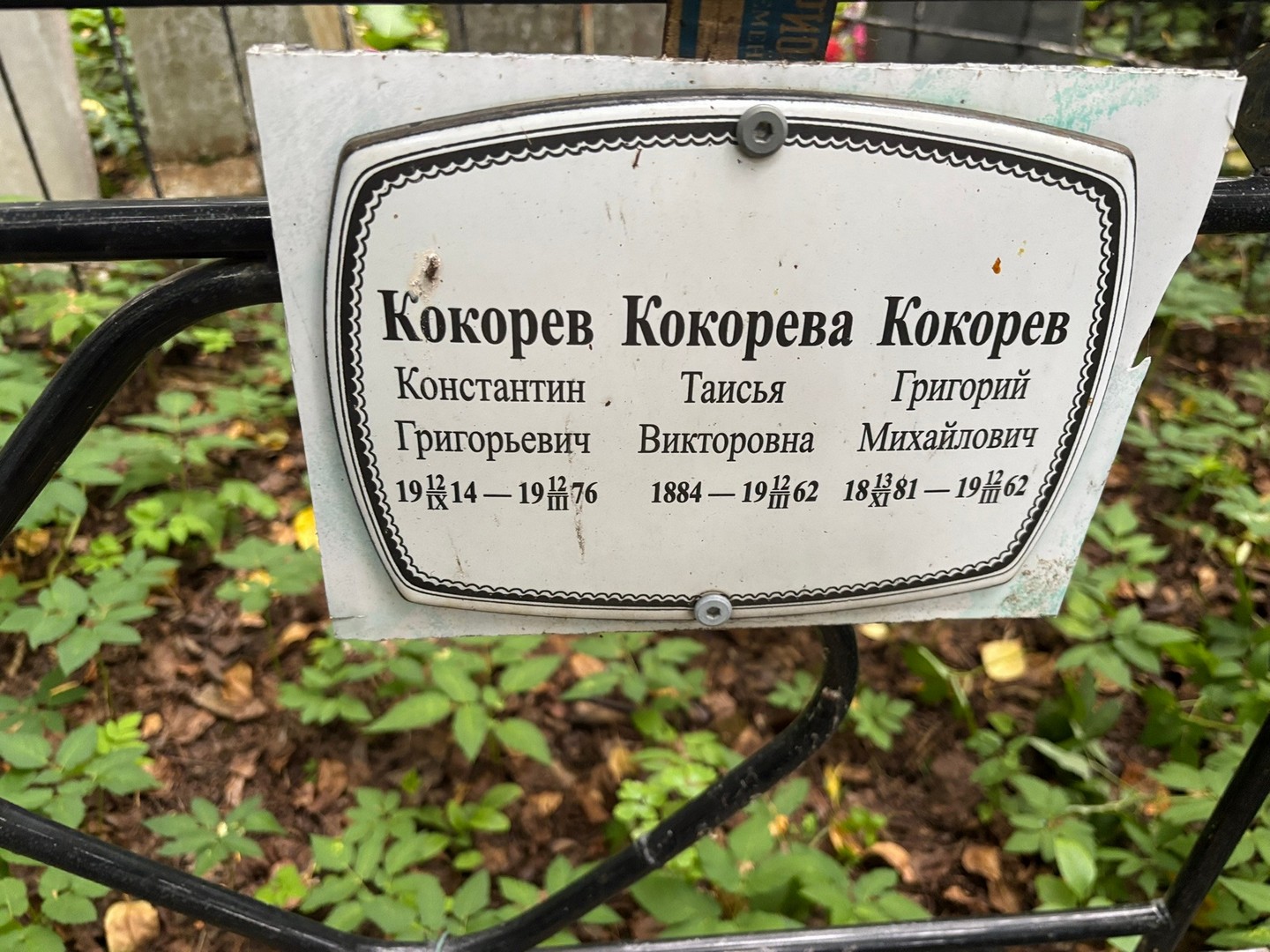 Кокорев