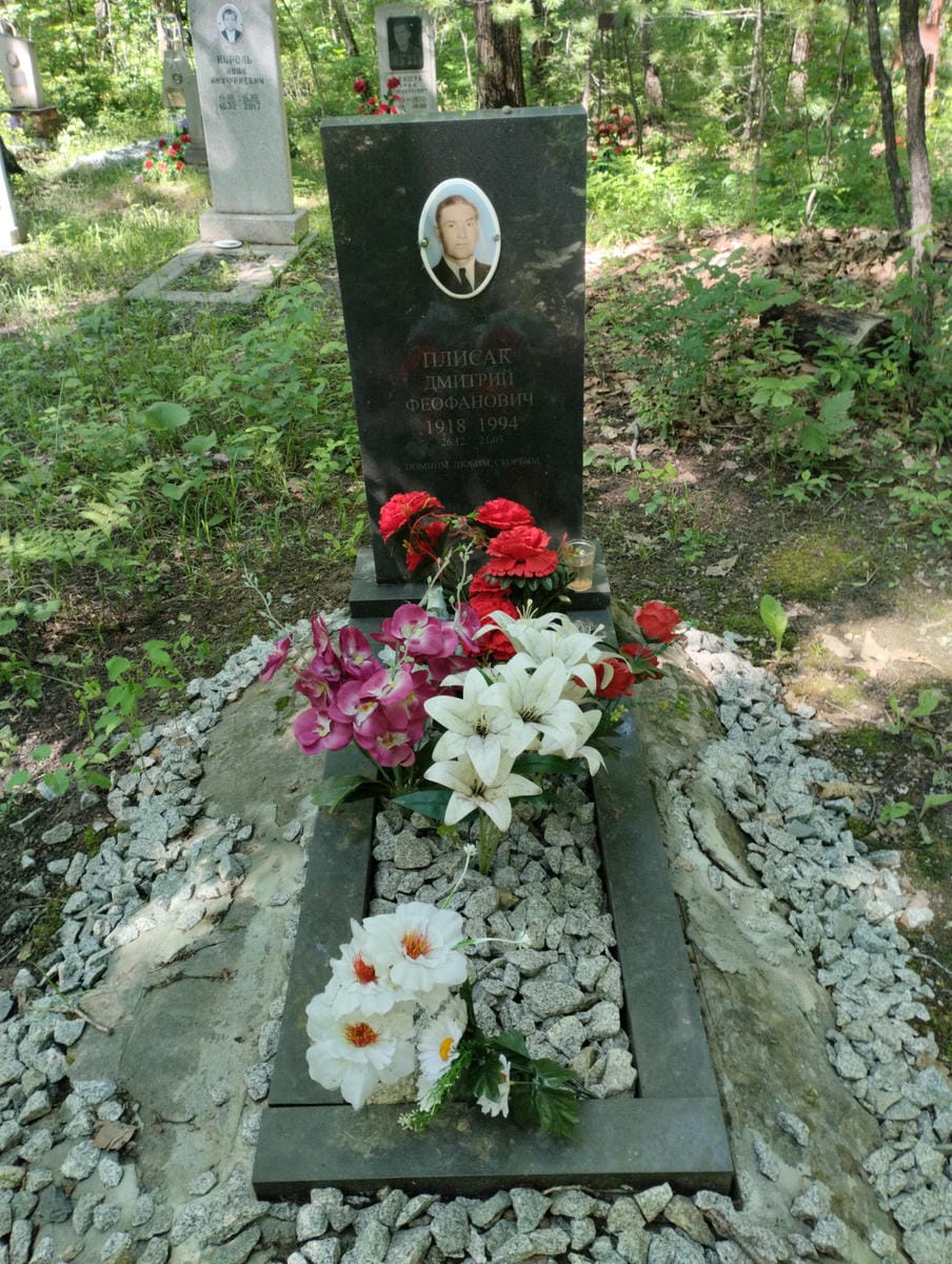 Плисак Дмитрий Феофанович