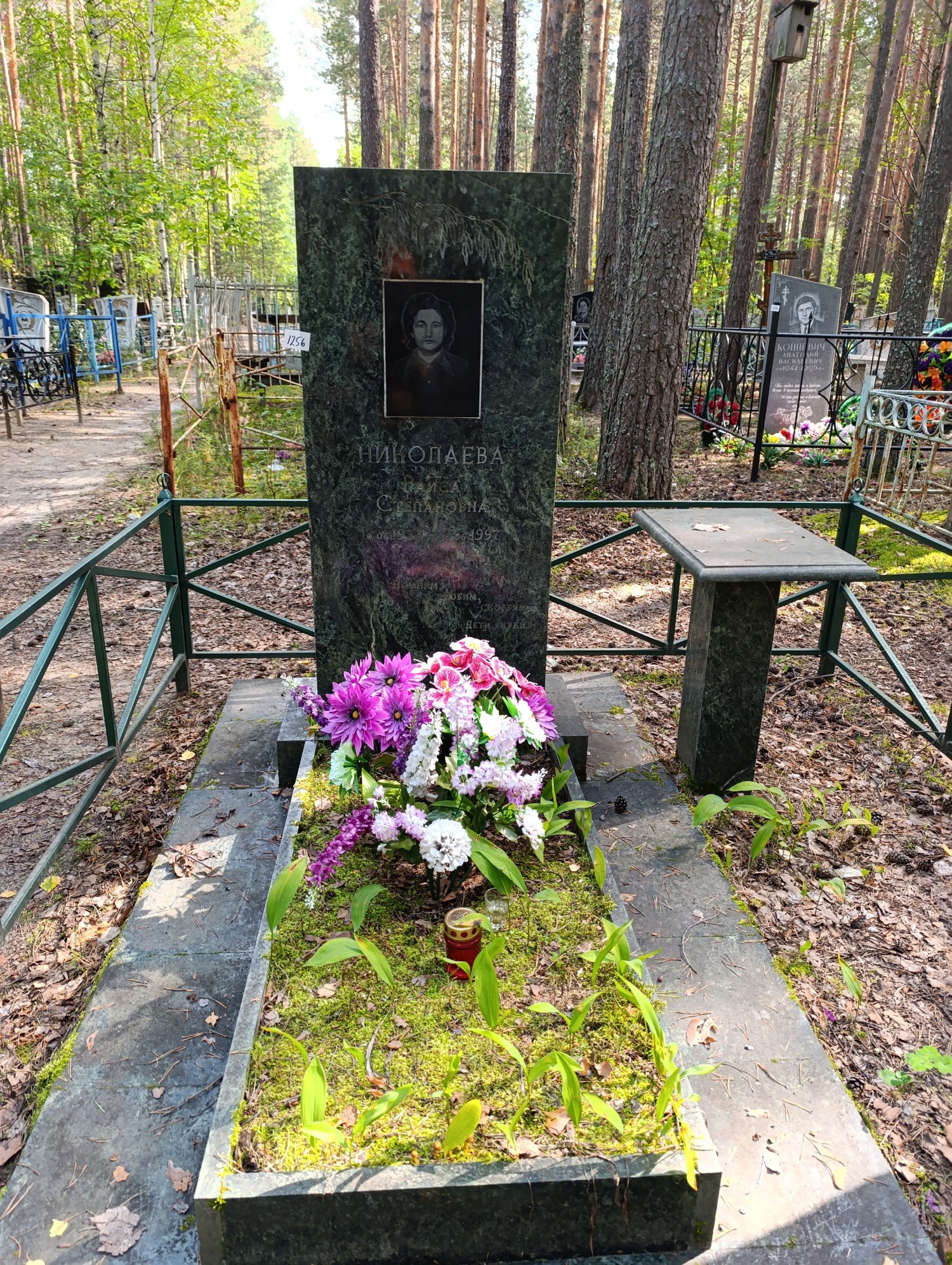 Николаева Раиса Степановна