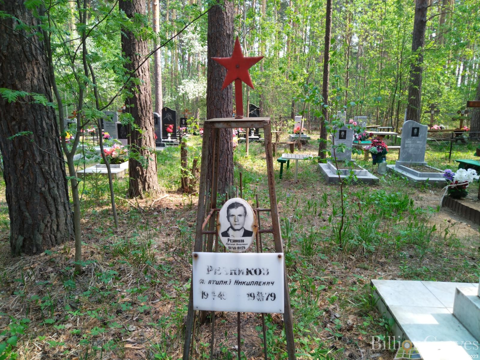 Резников Анатолий Николаевич