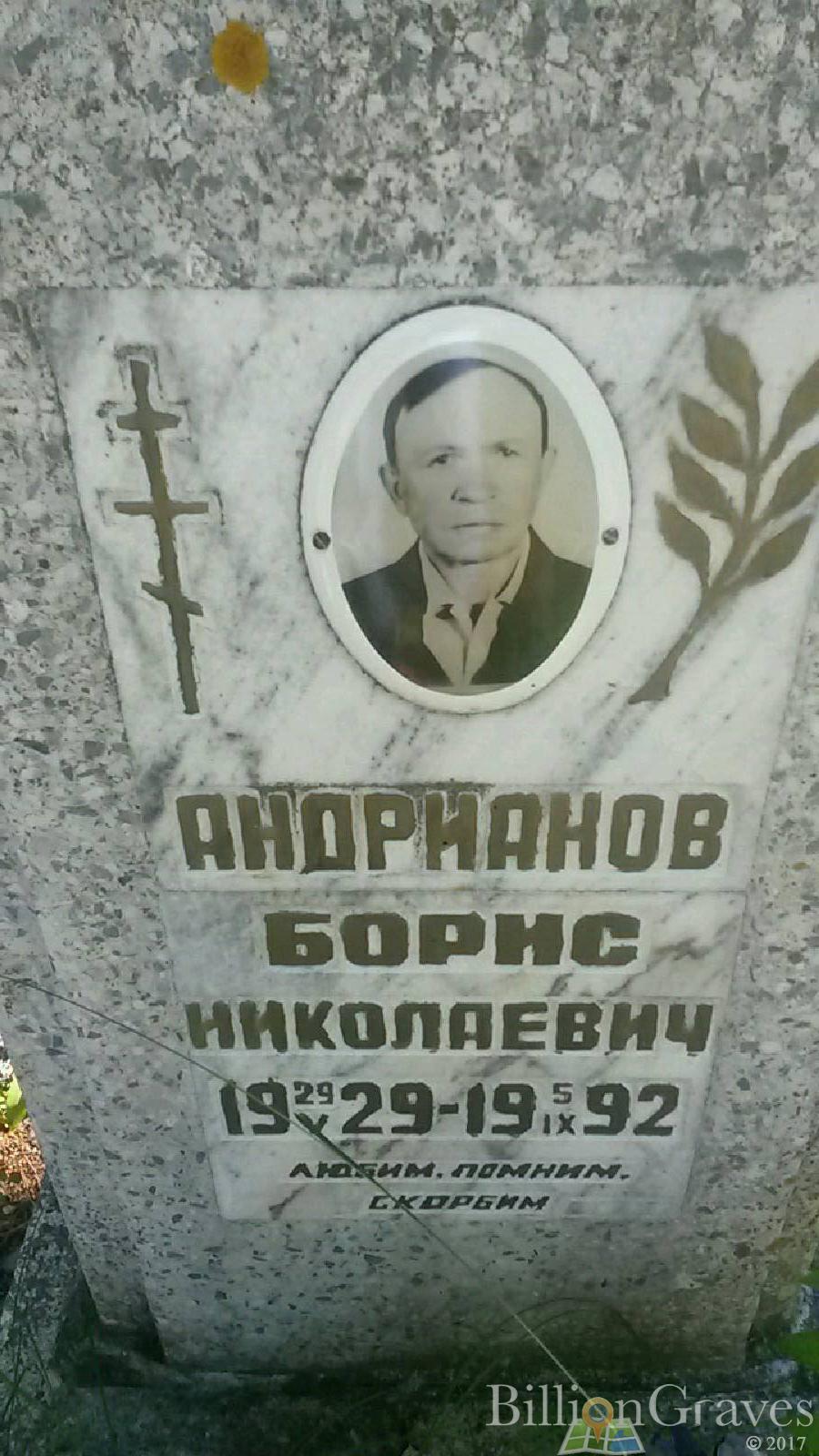 Андрианова Елена Андреевна