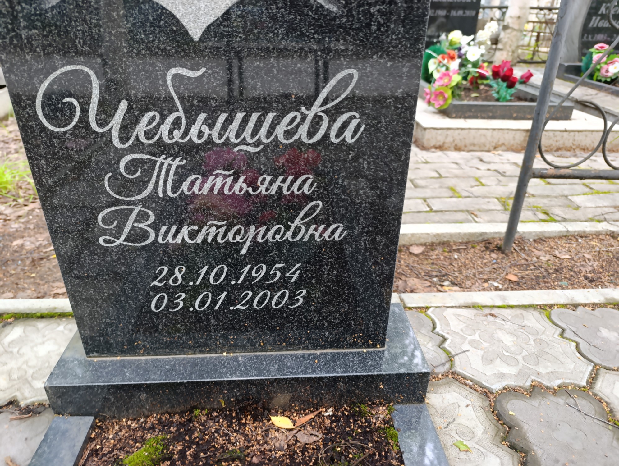 Чебыщева Татьяна Викторовна