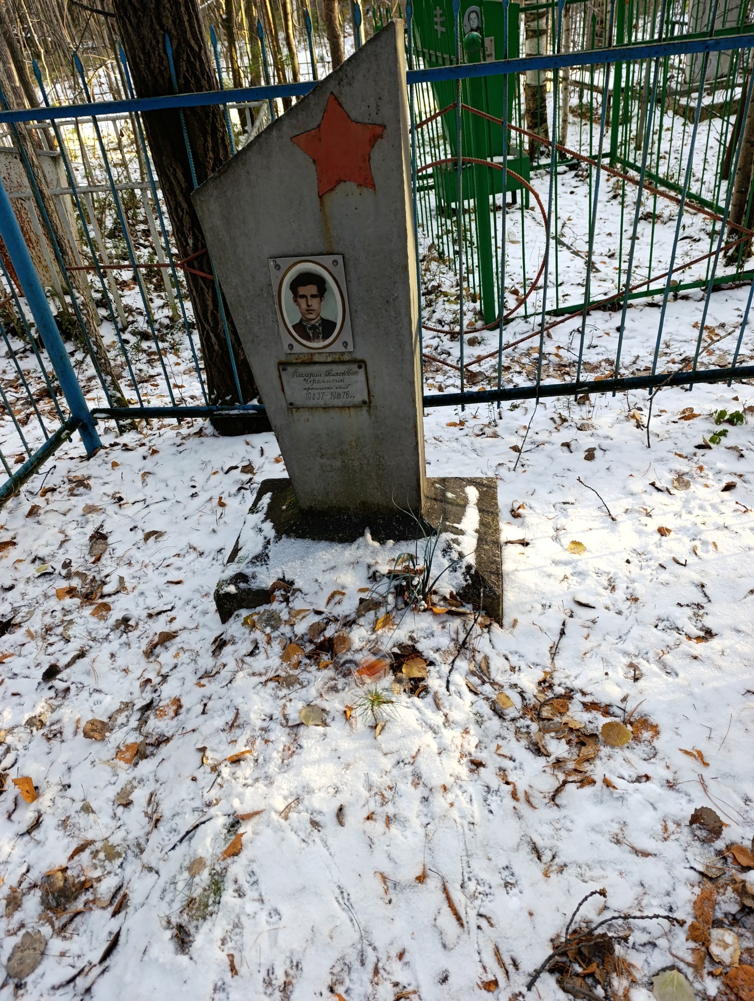 Черемисин Валерий Тихонович
