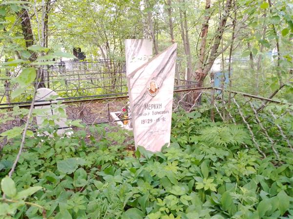 Меркин Михаил Борисович