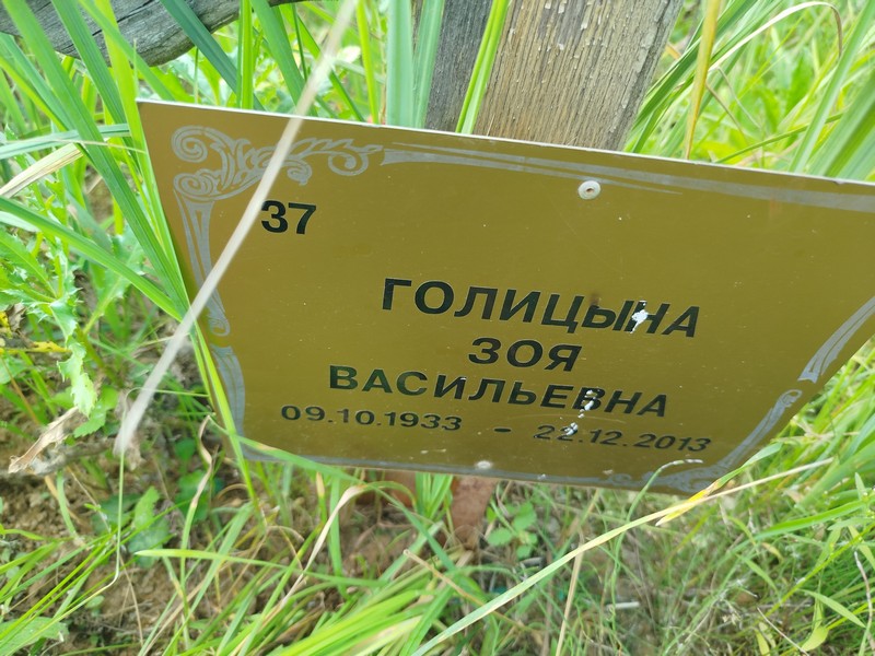 Голицына