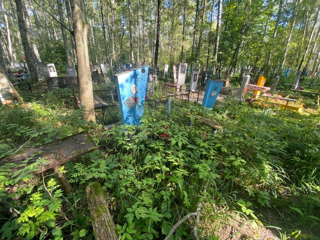 Шагалова Татьяна Сергеевна