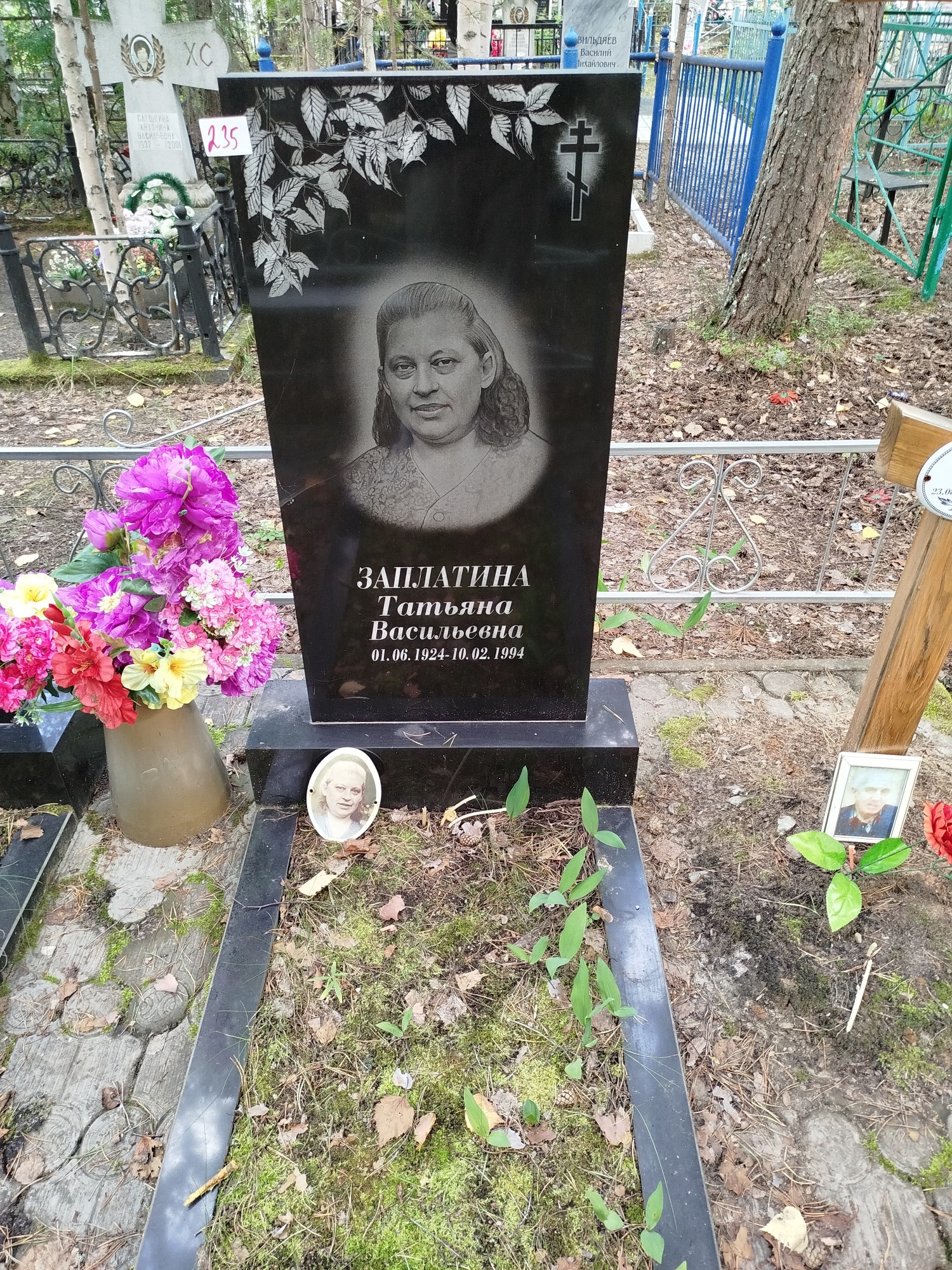 Заплатина Татьяна Васильевна
