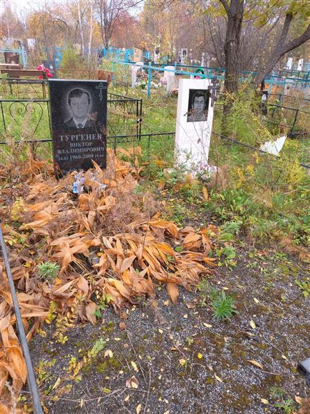 Тургенев Виктор Владимирович