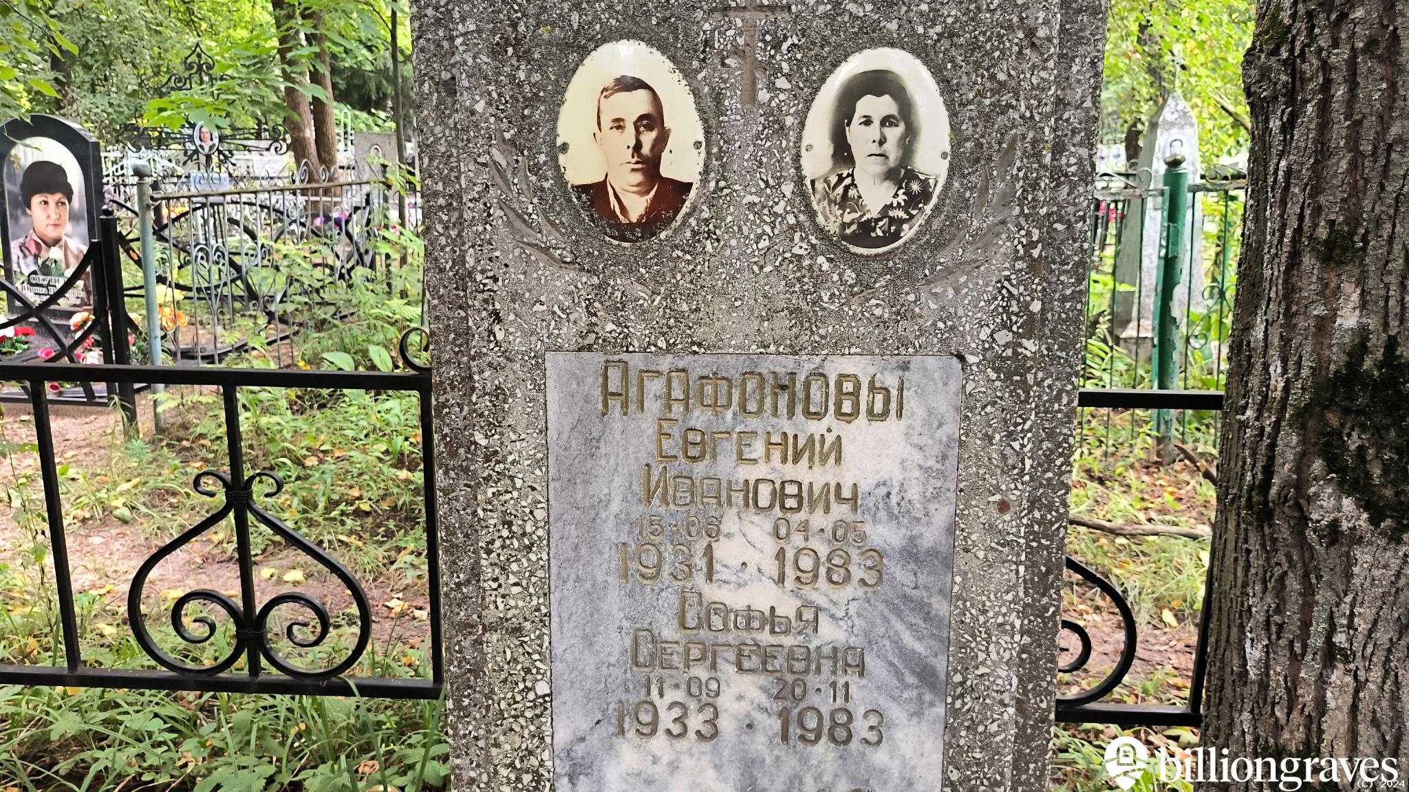 Агафонова Софья Сергеевна
