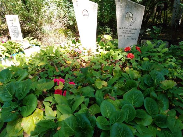 Балмашов Алексей Николаевич