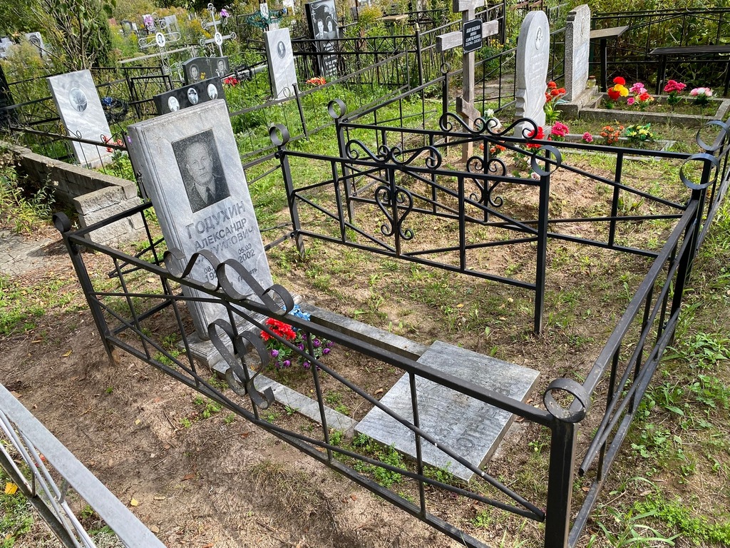 Годухин Александр Самуилович