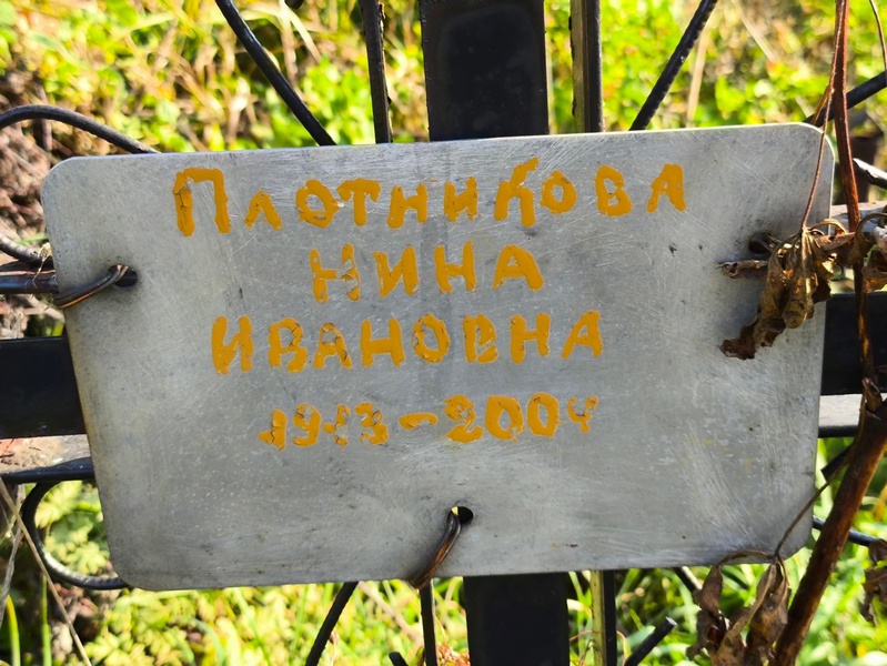 Плотникова