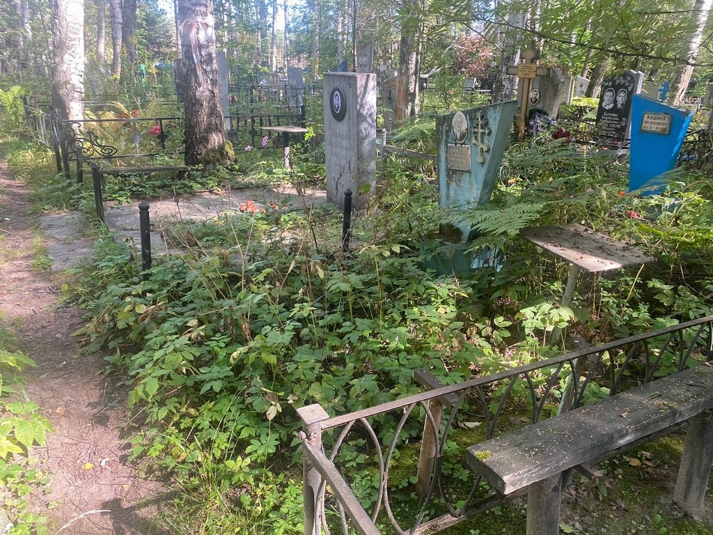 Королева Елизавета Александровна