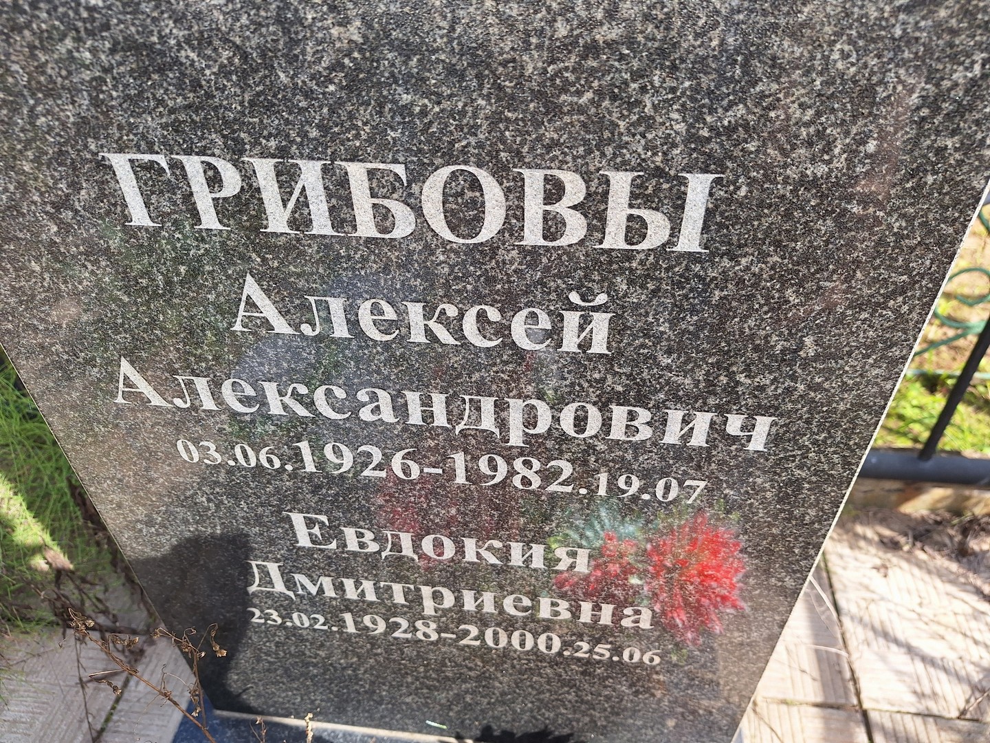 Грибов