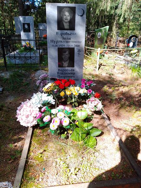 Воробьев Владимир Петрович
