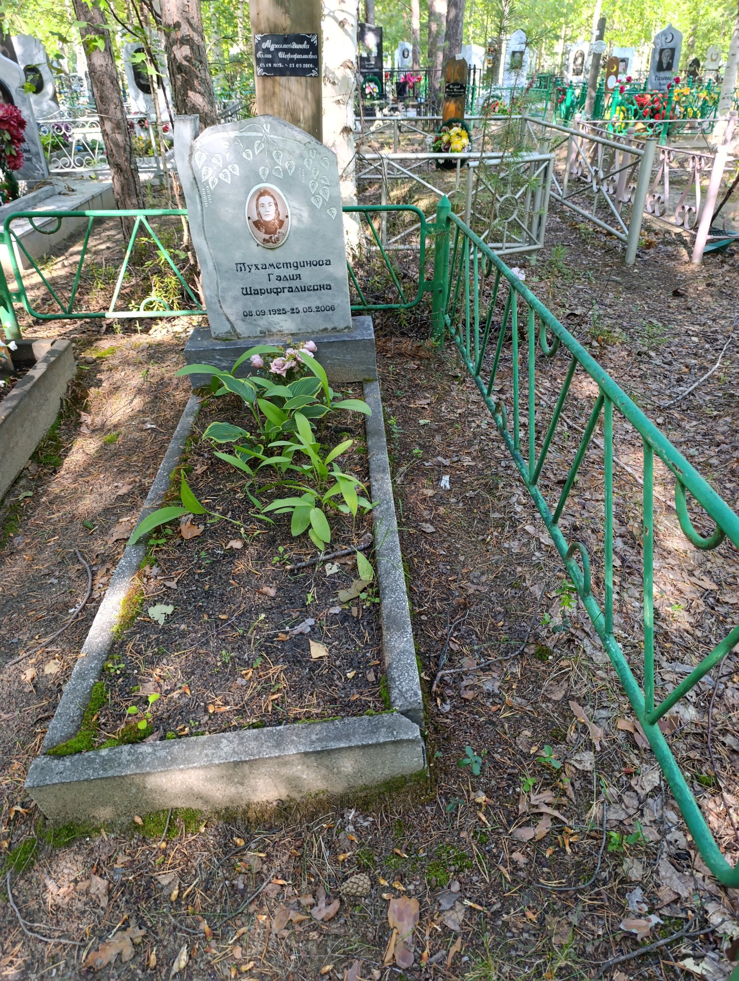 Мухаметдинова Галия Шарифгариевна