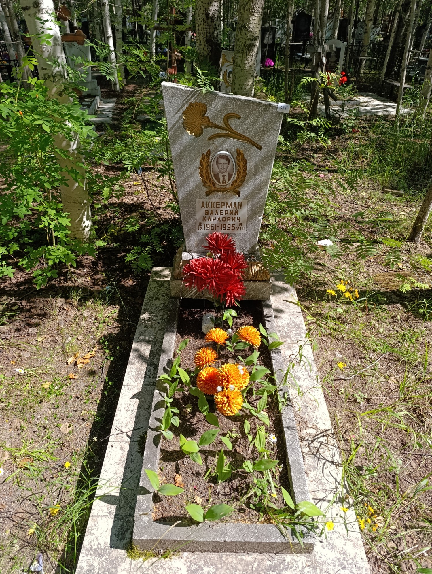 Аккерман Валерий Карлович