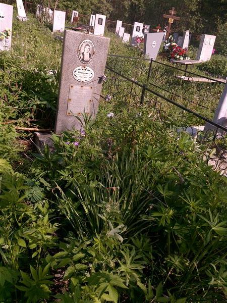 Мутовкина Валентина Александровна