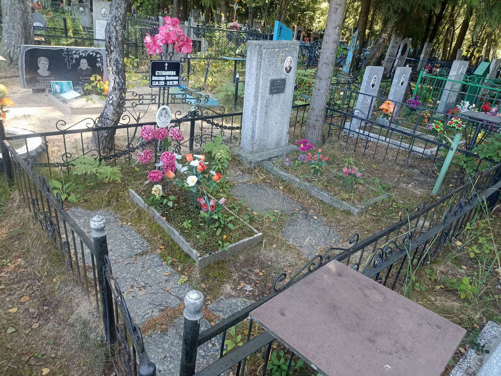 Степанова Александра Михайловна