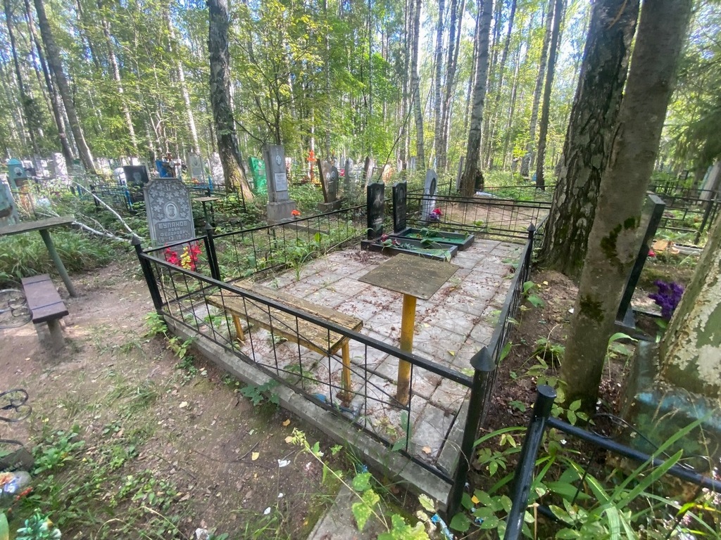 Власова Наталья Владимировна