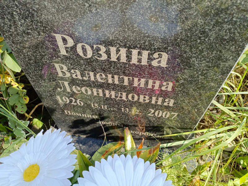 Розина