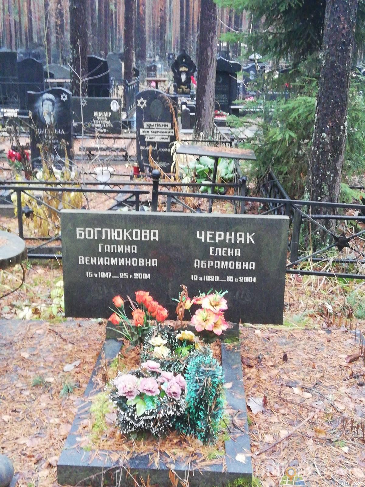 Черняк Елена Абрамовна