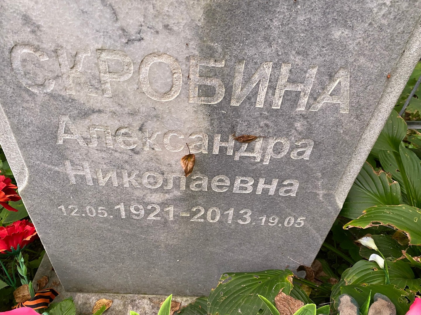 Скробина Александра Николаевна