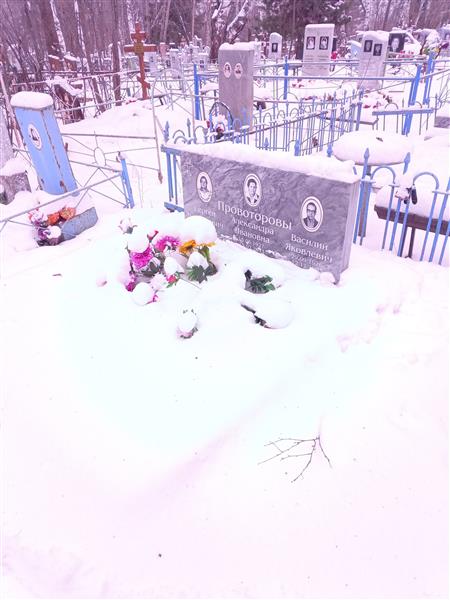 Провоторова Александра Ивановна