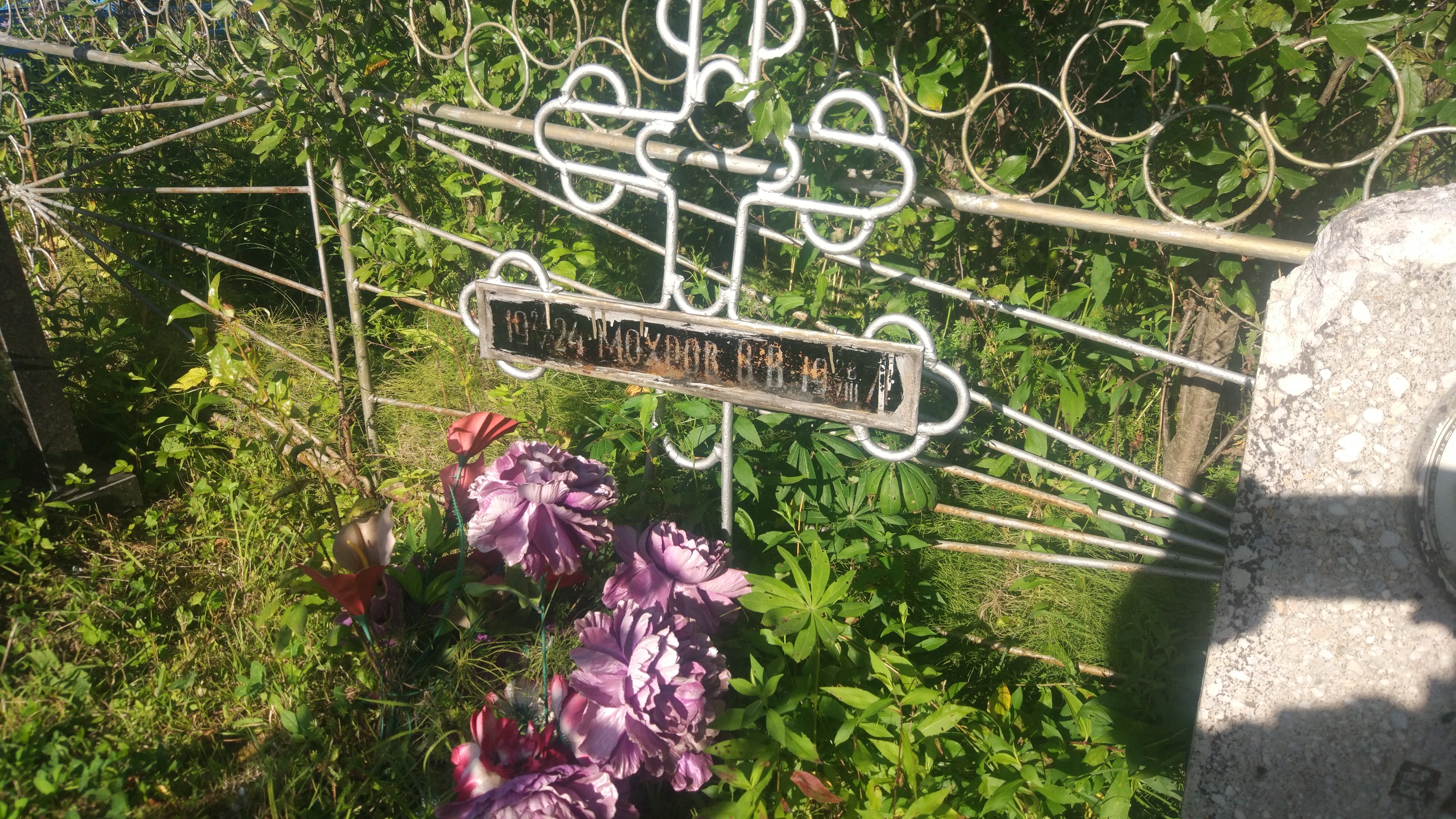 Мохров В. В.