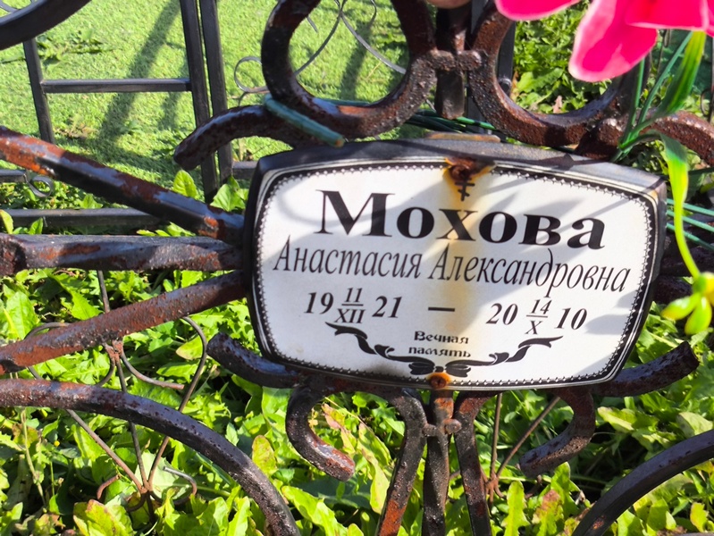 Мохова Анастасия Александровна