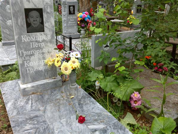 Комаров Пётр Григорьевич