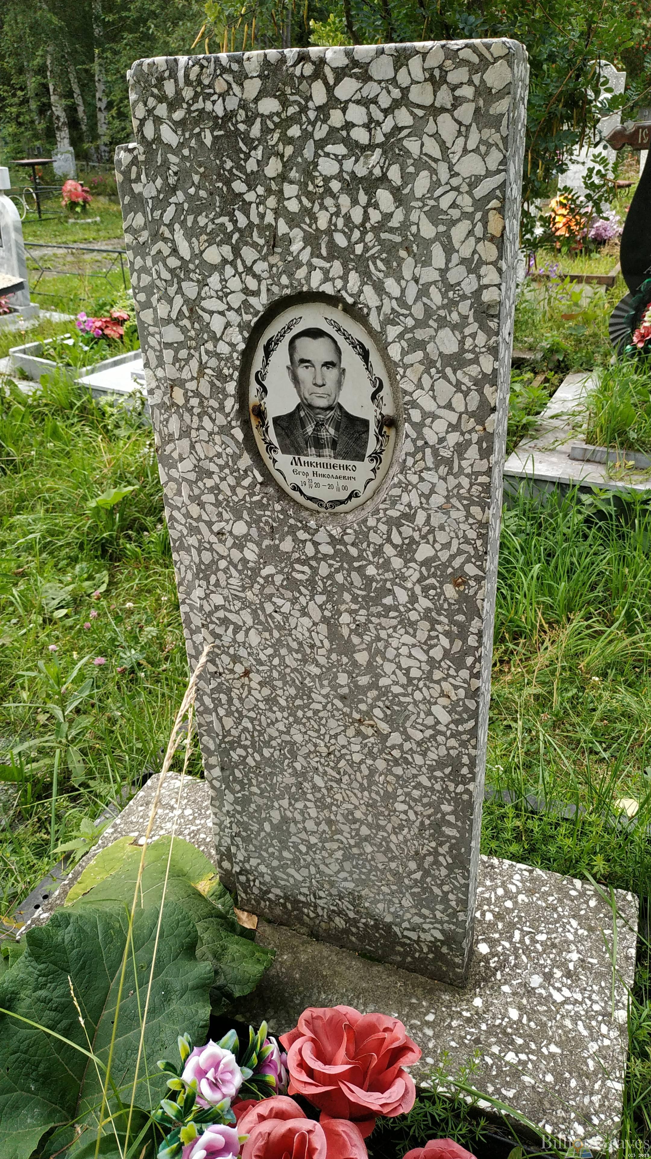 Микишенко Егор Николаевич