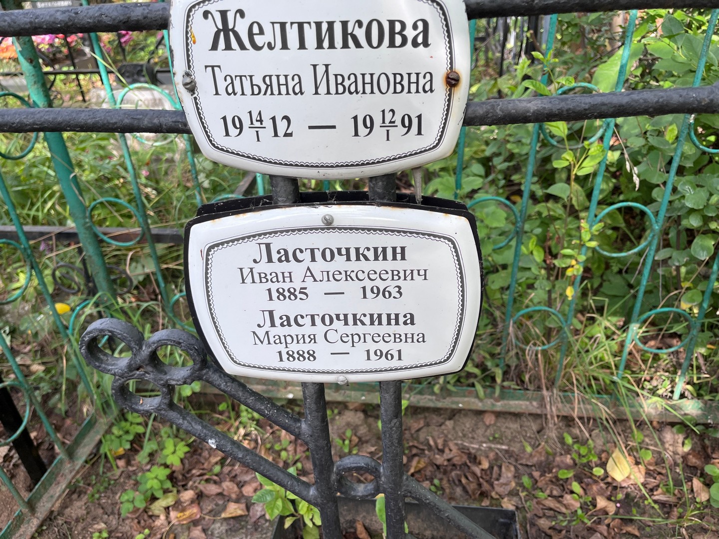 Желтикова