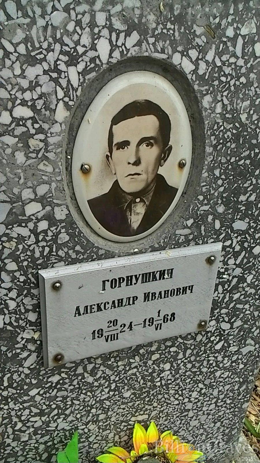 Горнушкин Александр Иванович