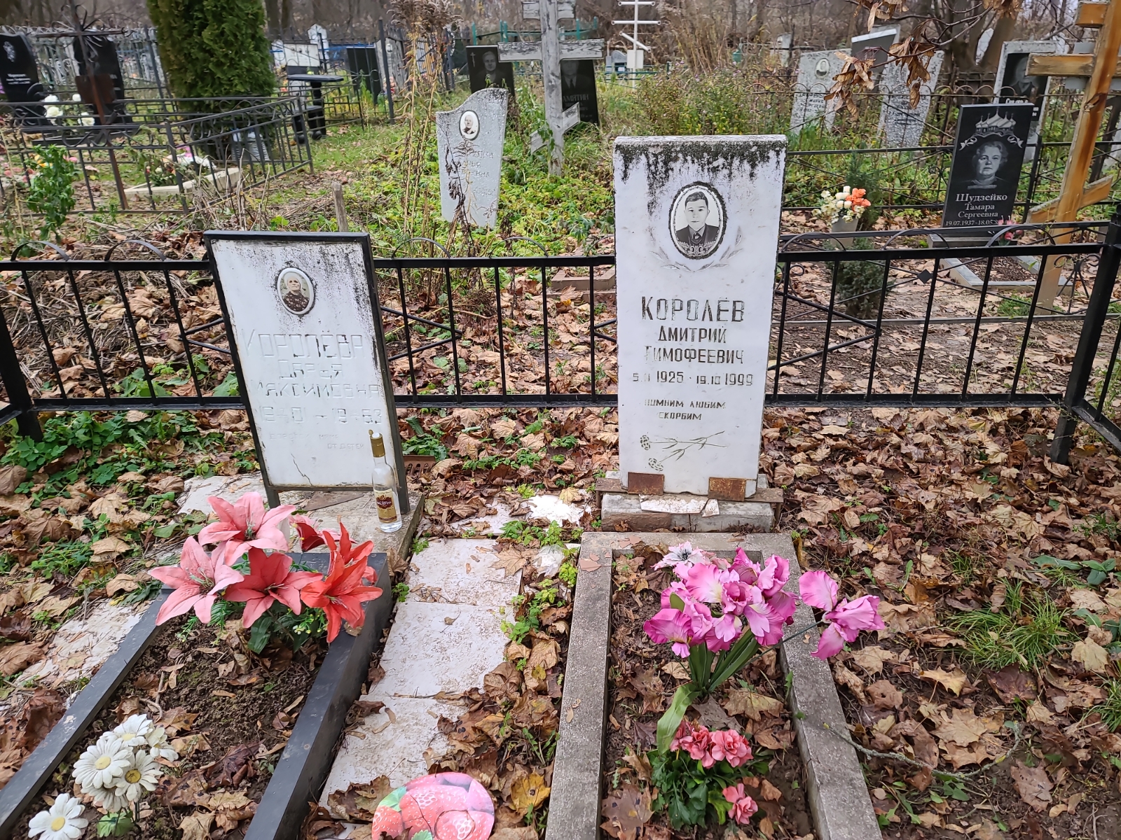 Королёв Дмитрий Тимофеевич