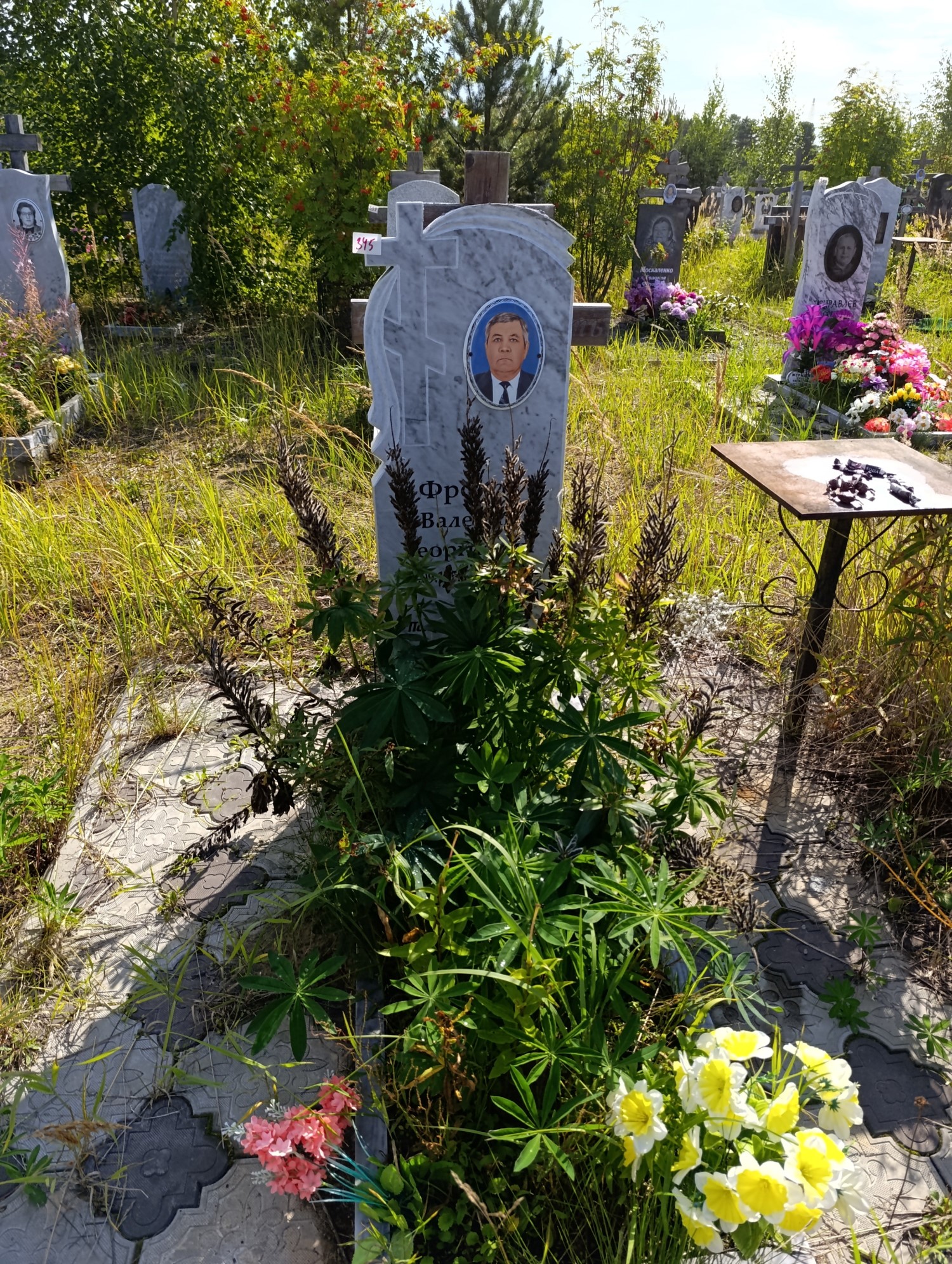 Фролов Валерий Георгиевич