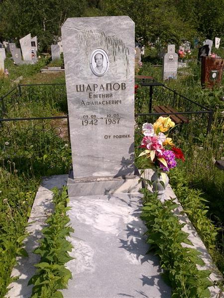 Шарапов Евгений Афанасьевич