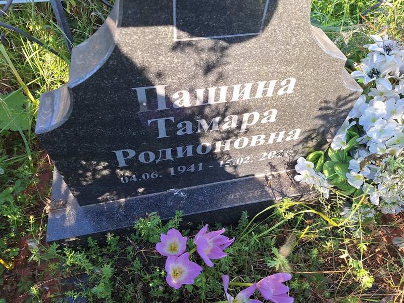 Пашина