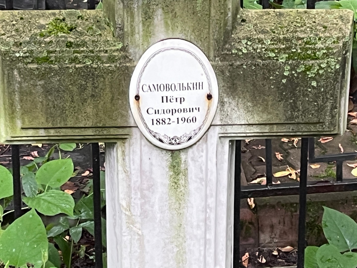 Самоволькин