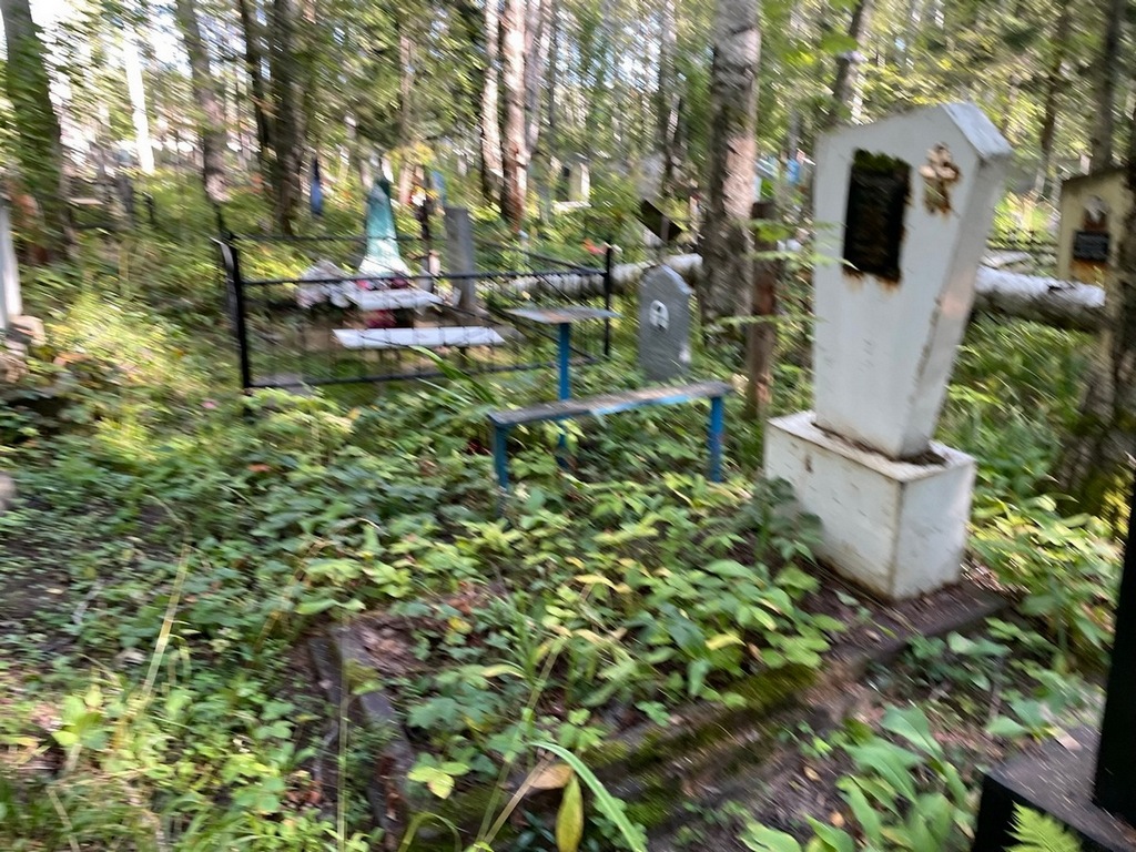 Сусанова Татьяна Петровна