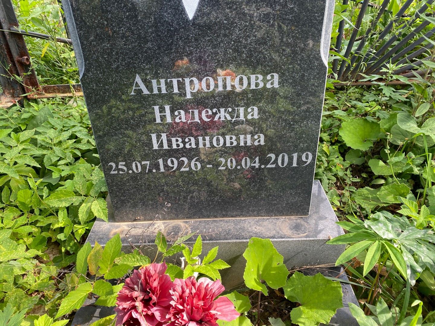 Антропова