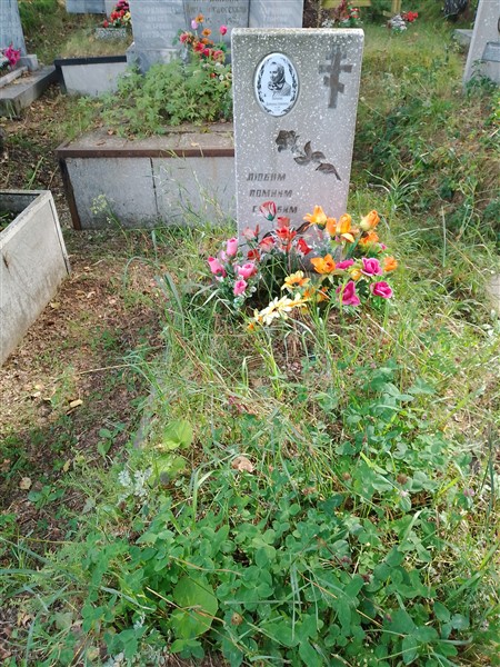 Войтяхова Екатерина Алексеевна