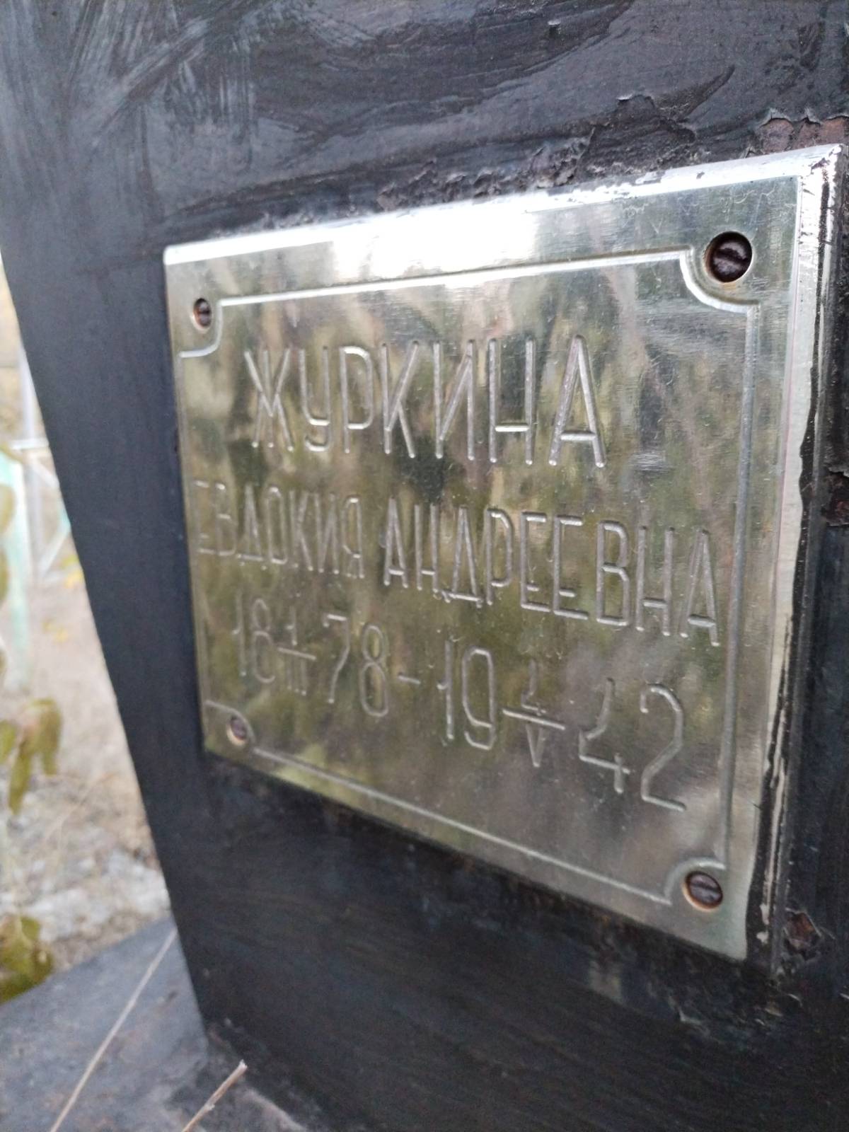 Журкина Евдокия Андреевна