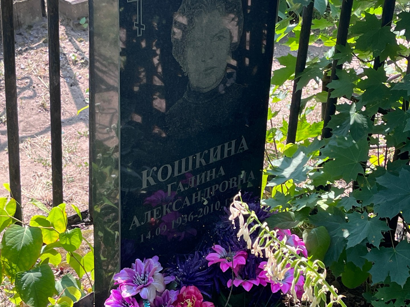 Кошкина