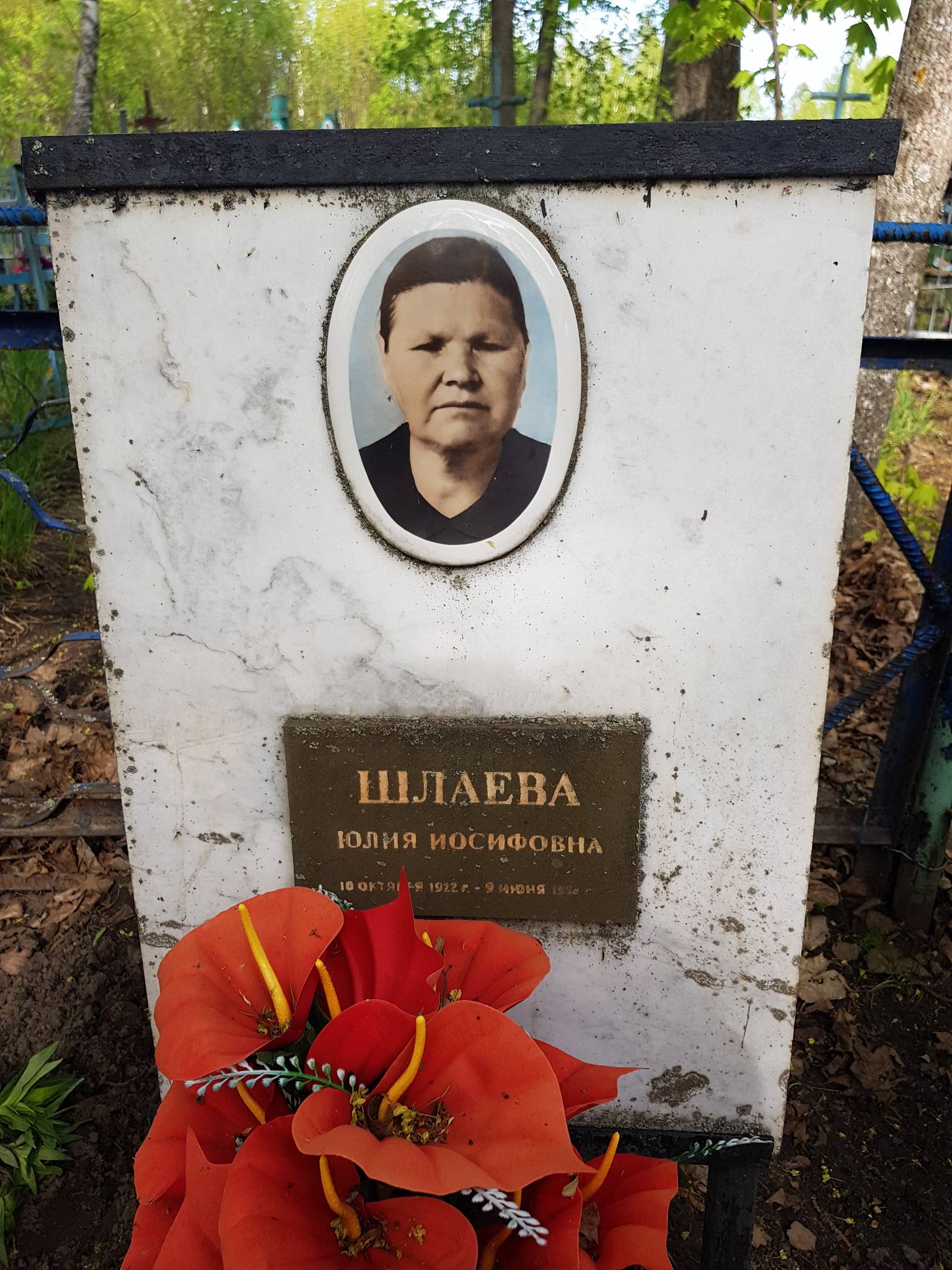 Шлаева Юлия Иосифовна