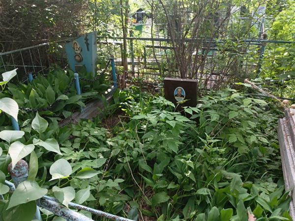 Зырянова Василиса Степановна