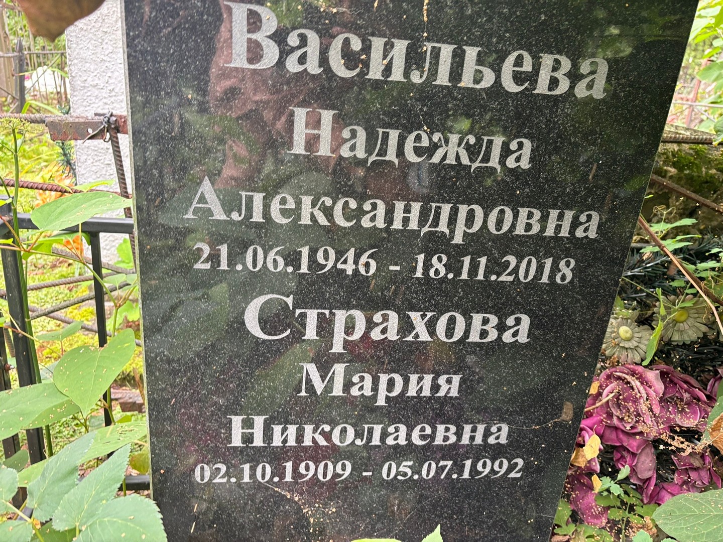 Васильева