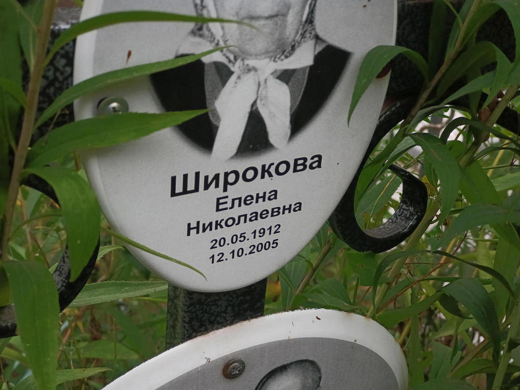 Широкова Елена Николаевна
