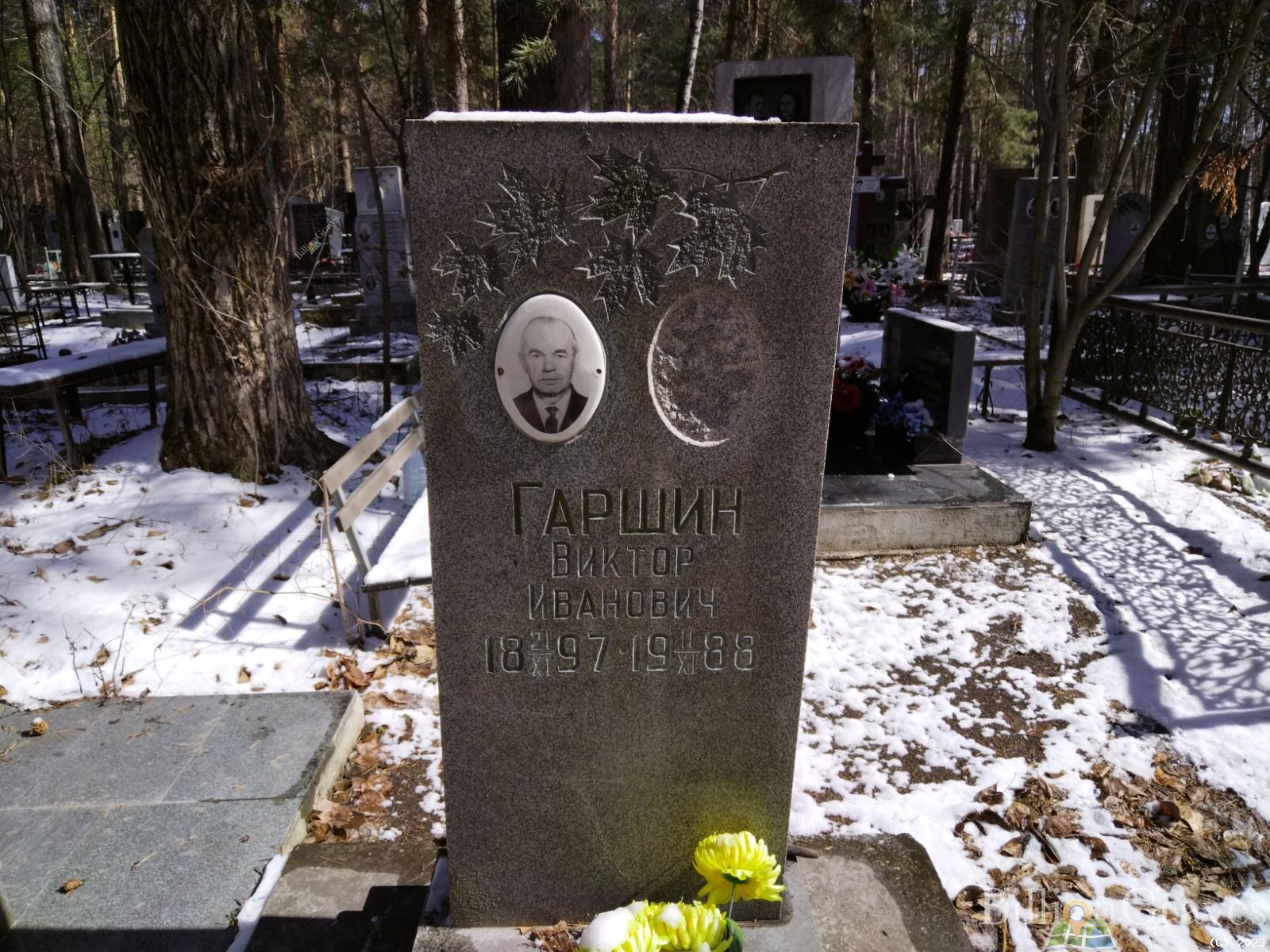 Гаршин Виктор Иванович